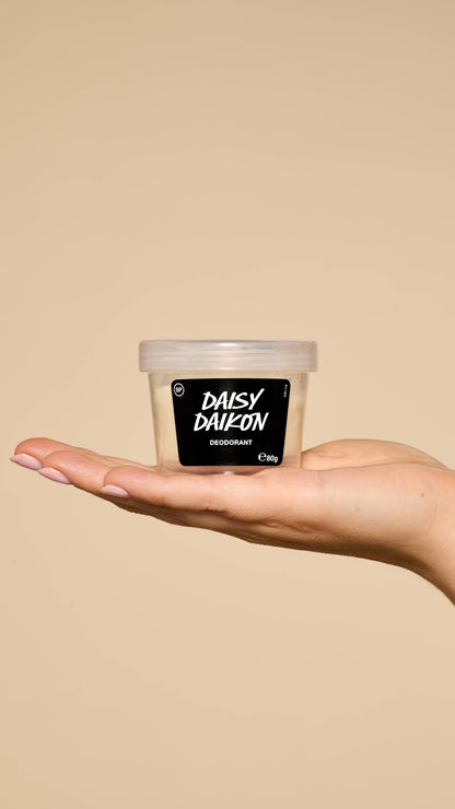 Daisy Daikon - US 2631