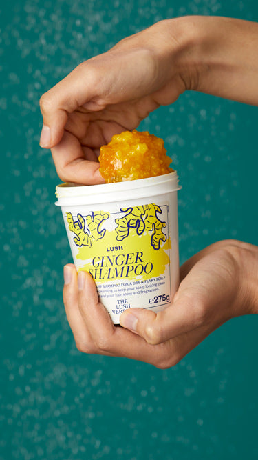 Ginger - US 5398