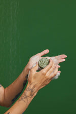 Squeaky Green - US 3375