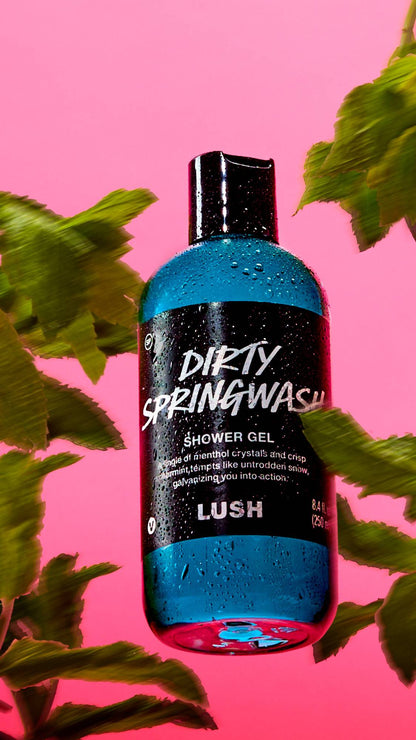 Dirty Springwash - US 6582