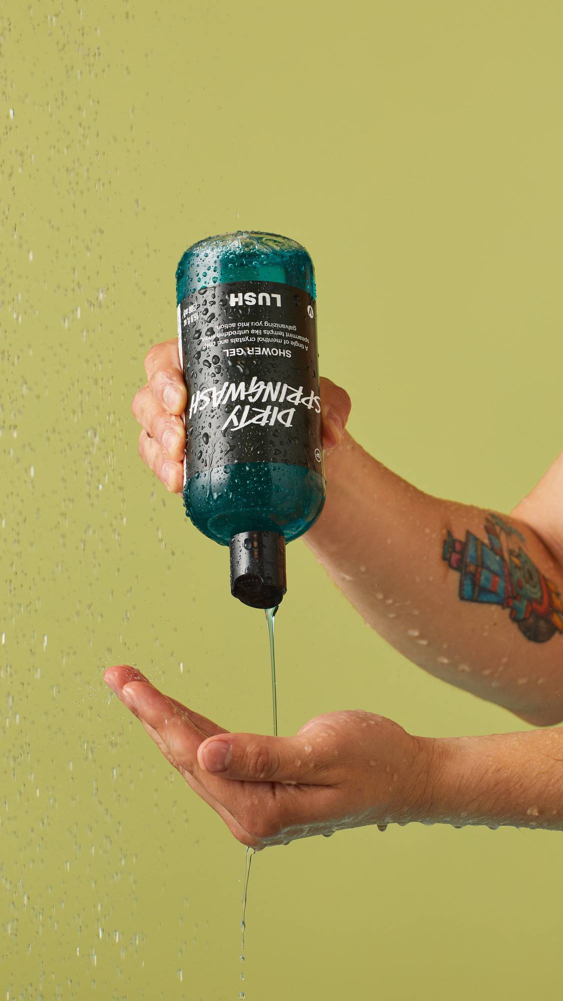 Dirty Springwash - US 6582
