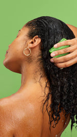 Avocado - US 7239