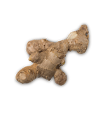 Ginger - US 8743