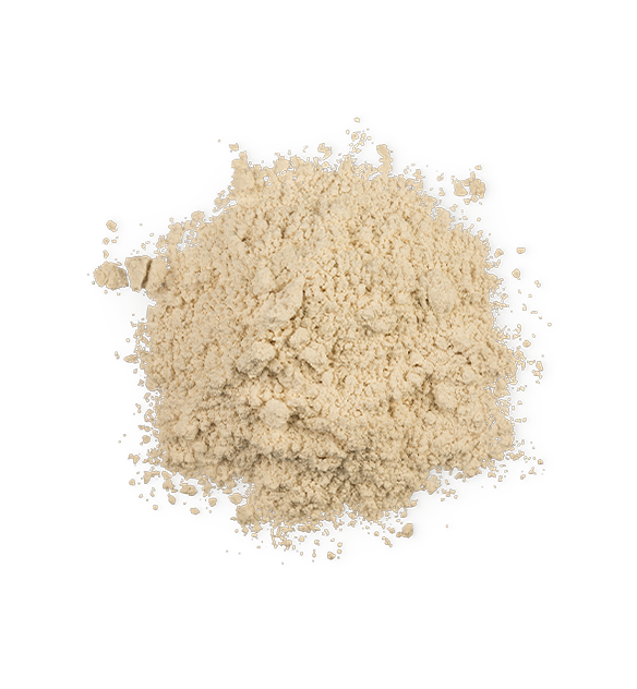Nutcrack Night - US 9459