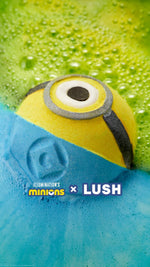 Minions - US 9873