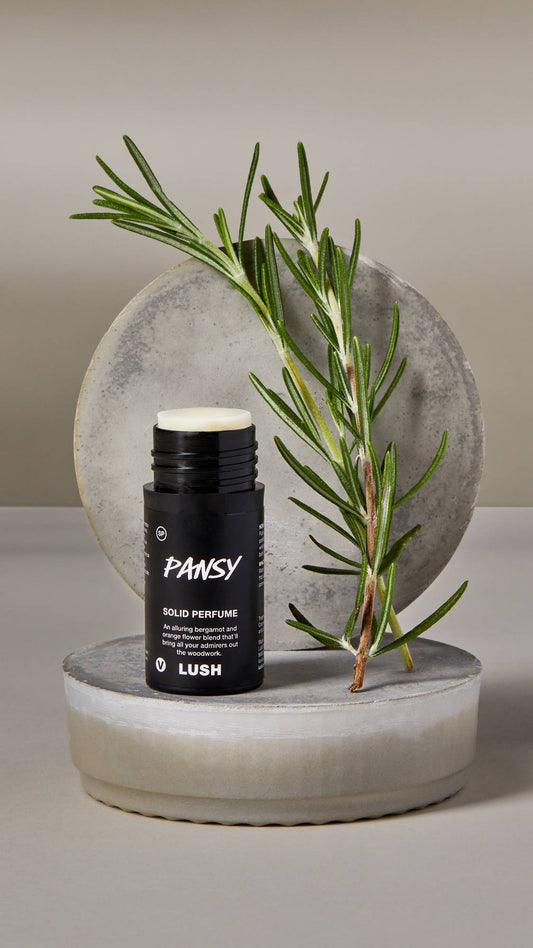 Pansy - US 7301