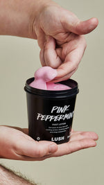 Pink Peppermint - US 3362