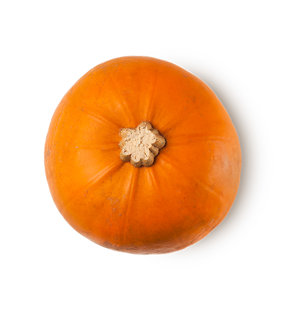 Autumn Date - US 6391