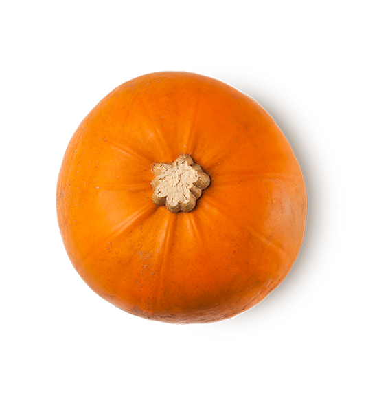 Autumn Date - US 6391