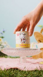 Pochacco - US 6378